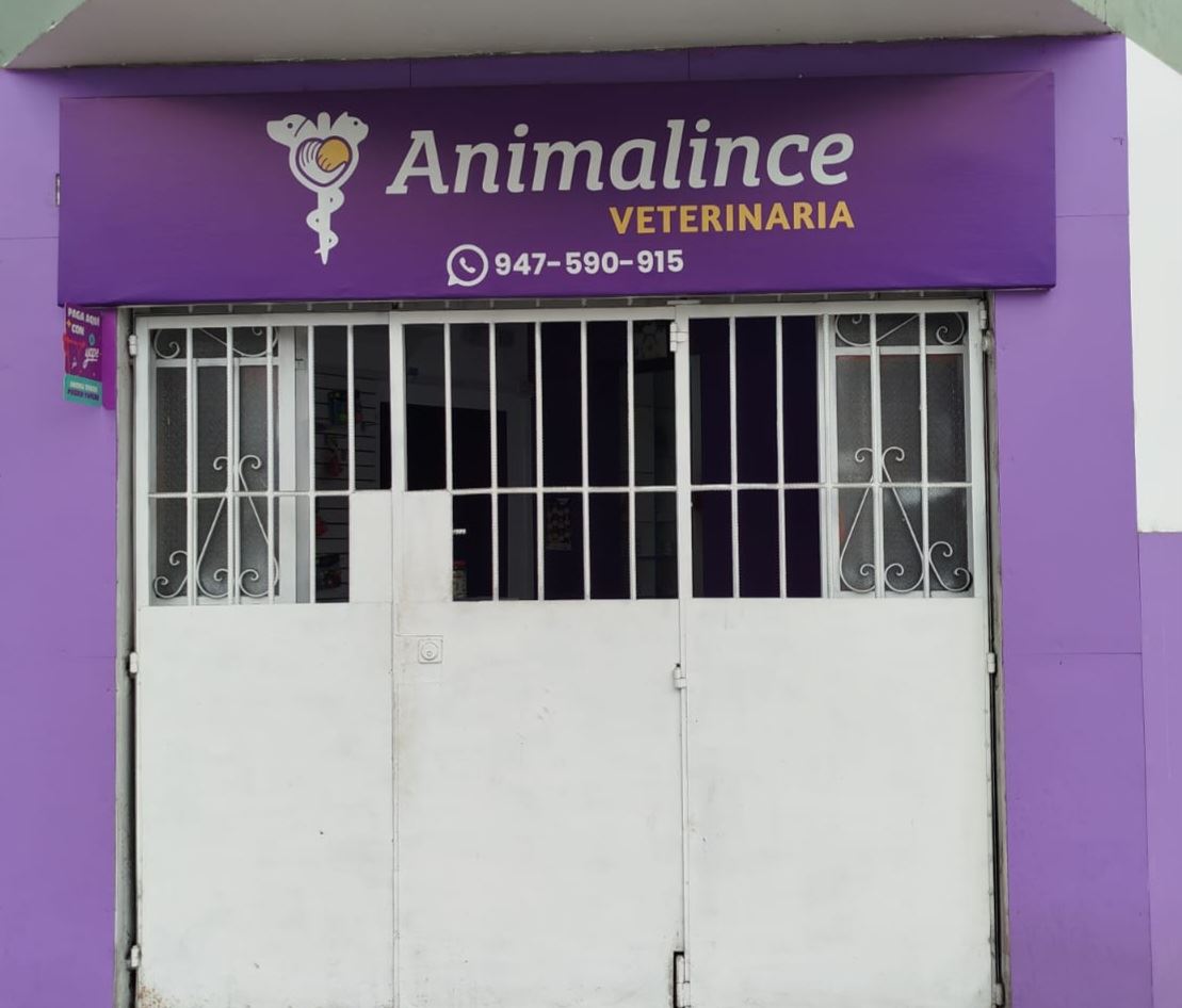 Fachada morada de Animalince en Jr. José Gálvez 2200, Lince